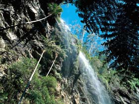 Blackdown Tableland National Park - Attractions Brisbane 2