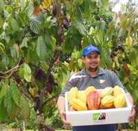Sweet Farm Tours - Attractions Brisbane