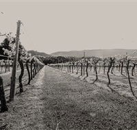 Halls Gap Estate - Attractions Brisbane
