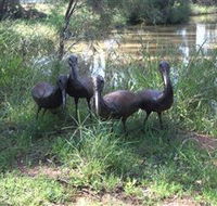 East Tolans Farm Tour - Attractions Brisbane