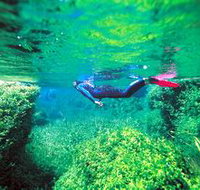 Piccaninnie Ponds Conservation Park - Attractions Brisbane