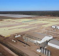 Southern Cotton Gin - Attractions Brisbane