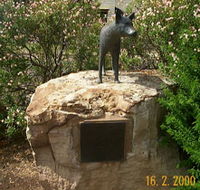 Dingo Statue - Attractions Brisbane