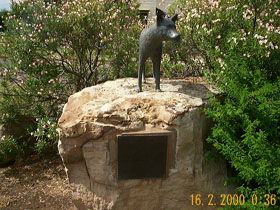 Dingo Statue - Attractions Brisbane 0