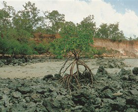Garig Gunak Barlu National Park - Attractions Brisbane 3