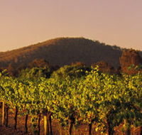 Taltarni Vineyards - Attractions Brisbane