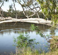 Murray Valley National Park - Attractions Brisbane