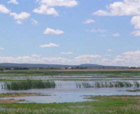 Fivebough Wetlands - Attractions Brisbane 0