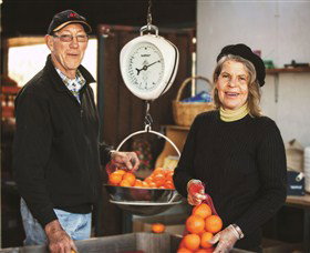 Backroads Trail - Attractions Brisbane 3