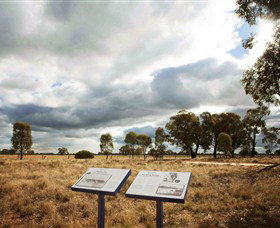 Backroads Trail - Attractions Brisbane 2