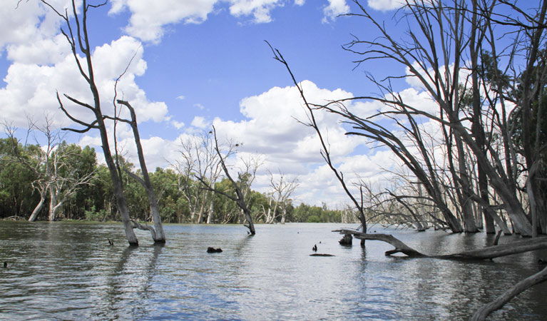 Colinroobie NSW Attractions Brisbane