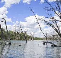 Murrumbidgee Valley National Park - Attractions Brisbane