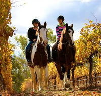 Billabong Ranch - Attractions Brisbane