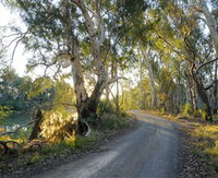 Alton Gallery - Echuca Moama Artists