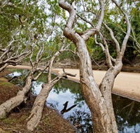 Oyala Thumotang National Park CYPAL - Attractions Brisbane