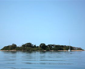 Hope Islands National Park - Attractions Brisbane 0