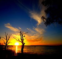 Lake Cowal - Attractions Brisbane