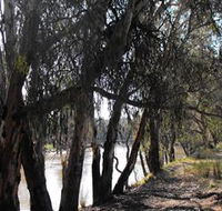 Mia Forest Drives Narrandera - Attractions Brisbane