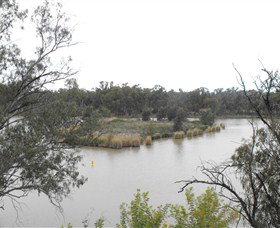 Bundidgerry Walking Track - Attractions Brisbane 0