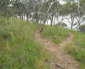 Bundidgerry Walking Track - Attractions Brisbane 1