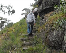 Bundidgerry Walking Track - Attractions Brisbane 3