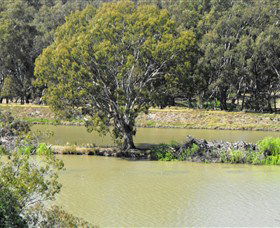 Lake Talbot And Lake Talbot Lookout - Attractions Brisbane 1