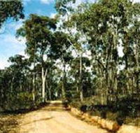 Paddys Ranges State Park - Attractions Brisbane