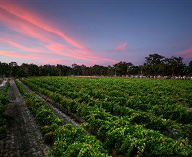 Amherst Winery - Attractions Brisbane 0