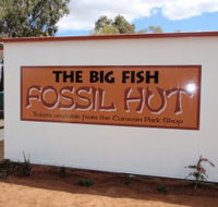 Big Fish Fossil Hut at Peak Hill - Attractions Brisbane