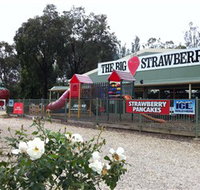 The Big Strawberry - Attractions Brisbane