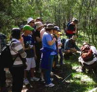 Warrumbungle National Park Discovery Program - Attractions Brisbane