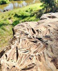 Terramungamine Rock Grooves