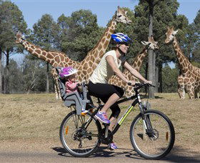 Taronga Western Plains Zoo, Dubbo - Attractions Brisbane 2