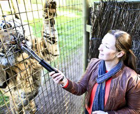 Taronga Western Plains Zoo, Dubbo - Attractions Brisbane 3