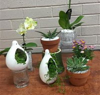 Cobram Florist - Attractions Brisbane