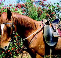 Western Plains Riding Centre - Attractions Brisbane
