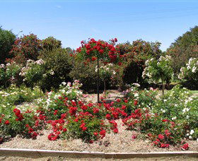 Barooga Botanical Gardens - Attractions Brisbane 2