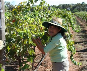 Domaine Asmara - Attractions Brisbane 6