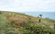 Cape Palmerston National Park - thumb 3