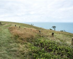 Cape Palmerston National Park - Attractions Brisbane 3