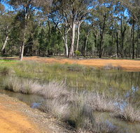 Beni State Conservation Area - Attractions Brisbane