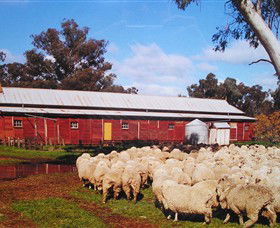 Savernake Day Tours - Attractions Brisbane 1