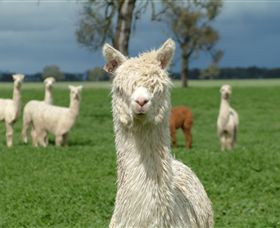 Creswick Woollen Mills - Attractions Brisbane 1