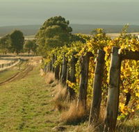 Captains Creek Organic Wines - Attractions Brisbane