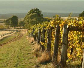 Captains Creek Organic Wines - Attractions Brisbane 0