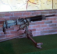 Woodpecker Gun - Attractions Brisbane