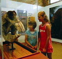 Australian Museum Diprotodon Exhibition - Attractions Brisbane