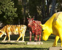 Greater Shepparton's Moooving Art