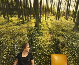 Port Fairy Massage - Attractions Brisbane 0