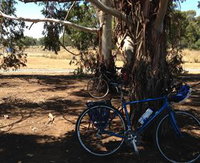 Murchison Rail Trail